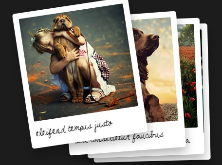 jQuery Elastic Slider